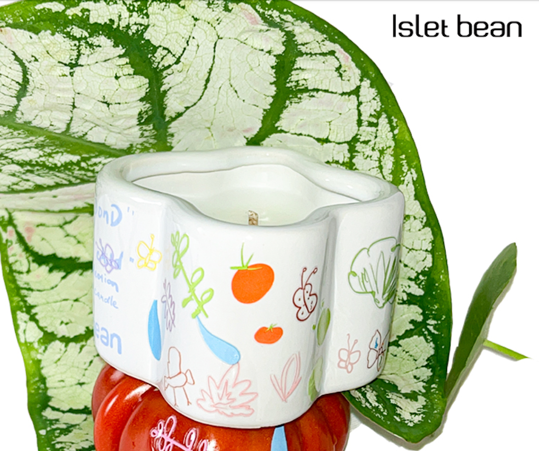 Neverland Islet Bean Gift Box